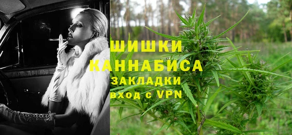 PSILOCYBIN Верхний Тагил