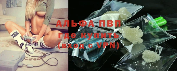 PSILOCYBIN Верхний Тагил